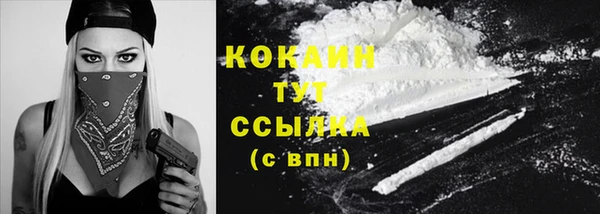 винт Вяземский