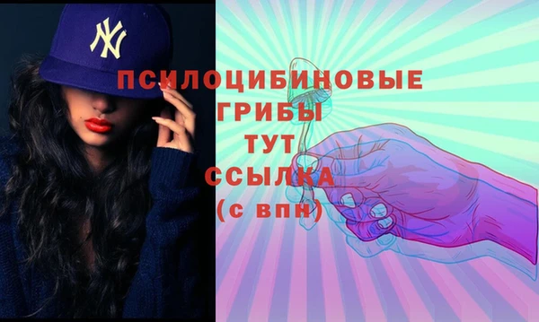 a pvp Вязники