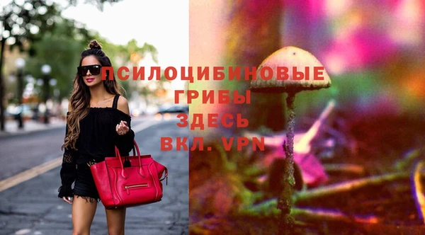 2c-b Вязьма