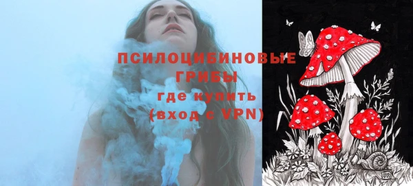 винт Вяземский