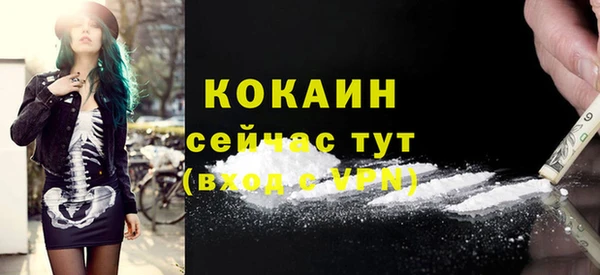 винт Вяземский