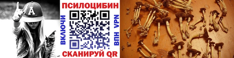 Галлюциногенные грибы мицелий  Майкоп 